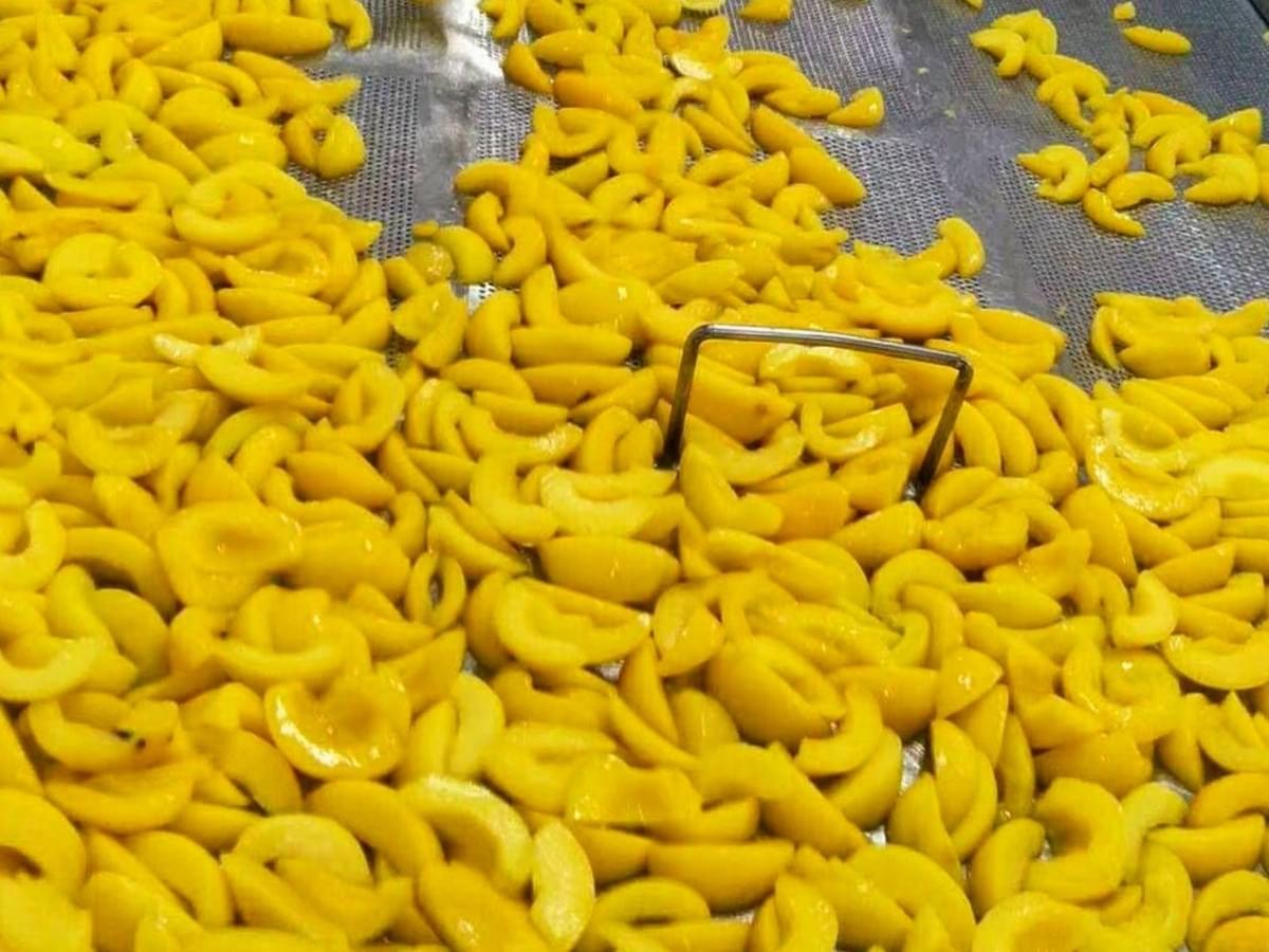 IQF Sliced Yellow Peaches