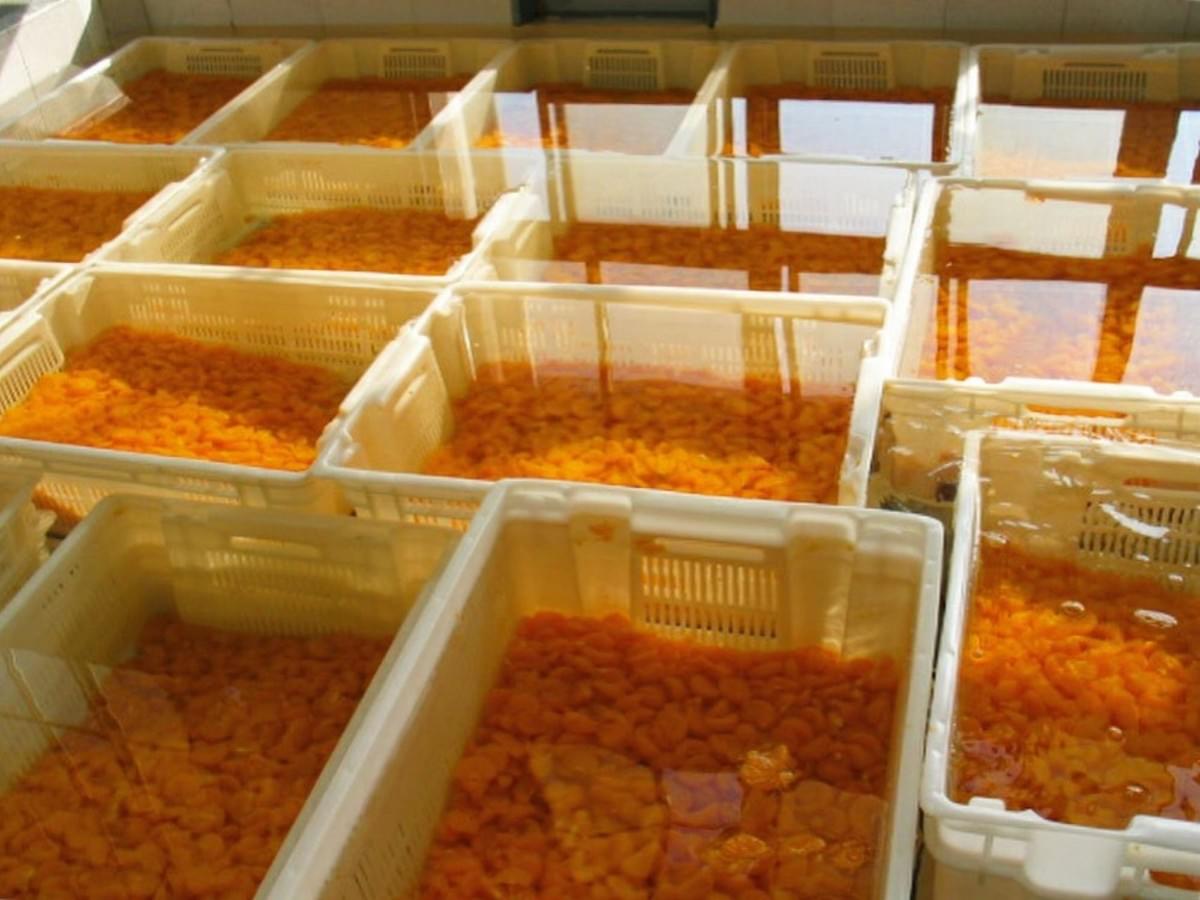 IQF Mandarin Segments