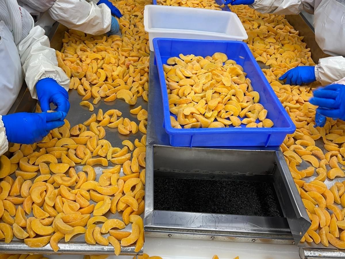 IQF Sliced Yellow Peaches