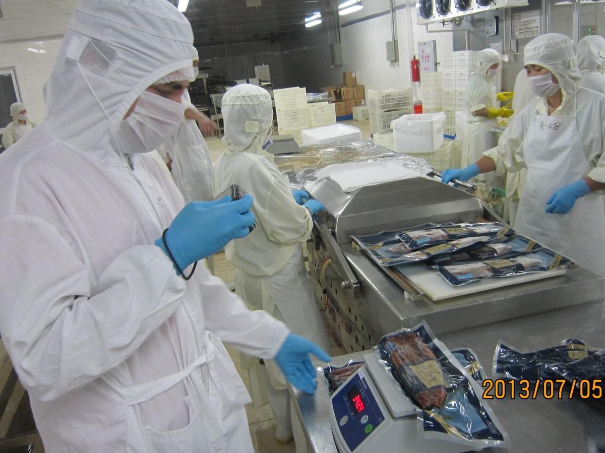 Vacuum-packed Frozen Unagi Wholesale Supplier