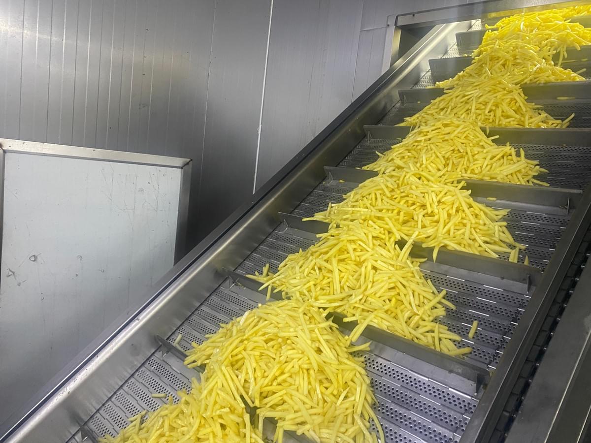 Seasoned Frozen Regular Cut French Fries Wholesale