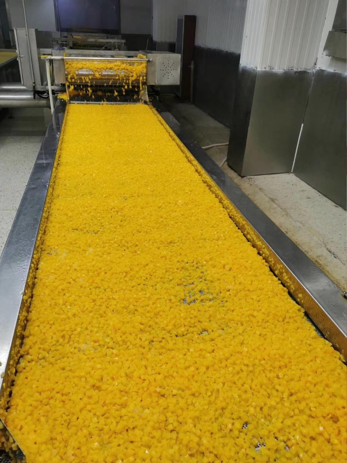 IQF Diced Yellow Peaches