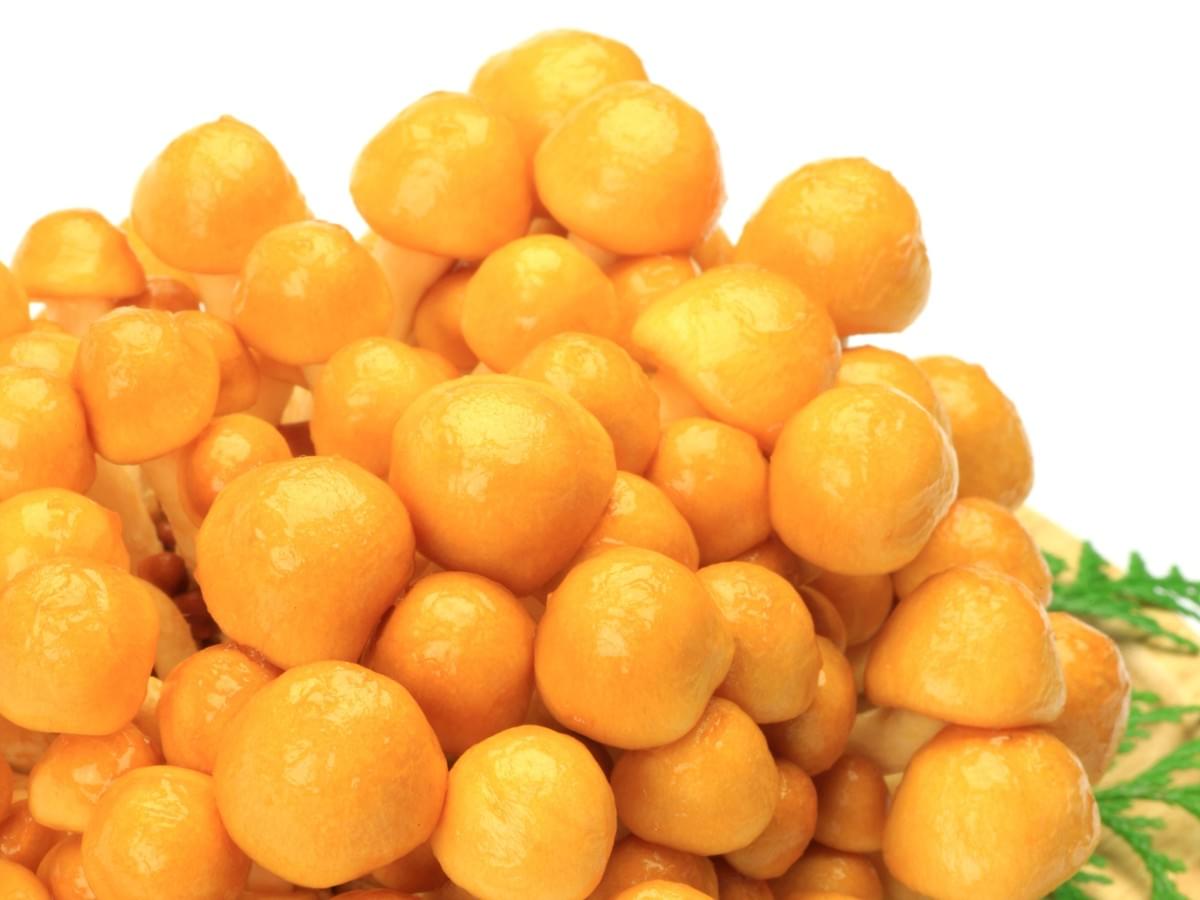 IQF Nameko Bulk Frozen Mushrooms