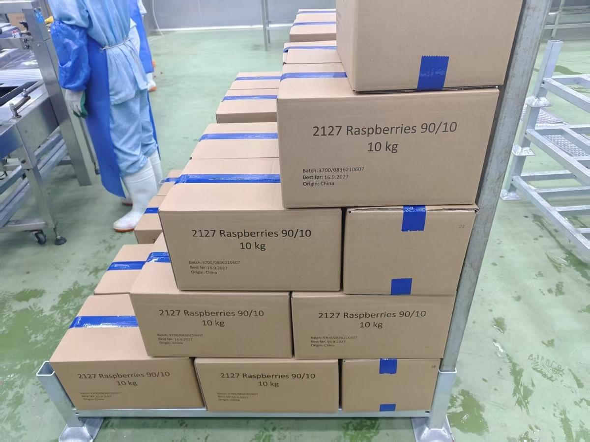 Frozen Raspberries Bulk Supply