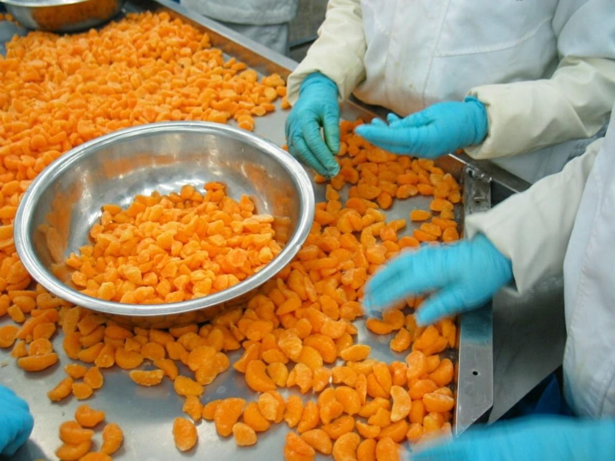 IQF Mandarin Segments
