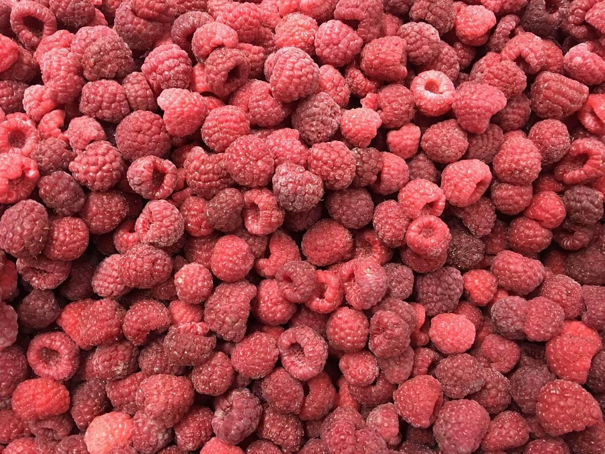 IQF Whole Raspberries Supplier