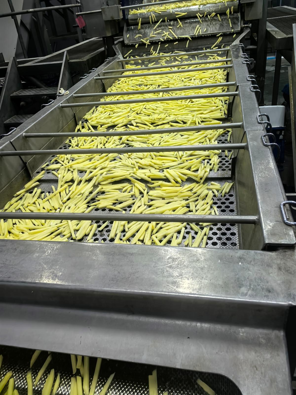 Seasoned Frozen Regular Cut French Fries Manufacture