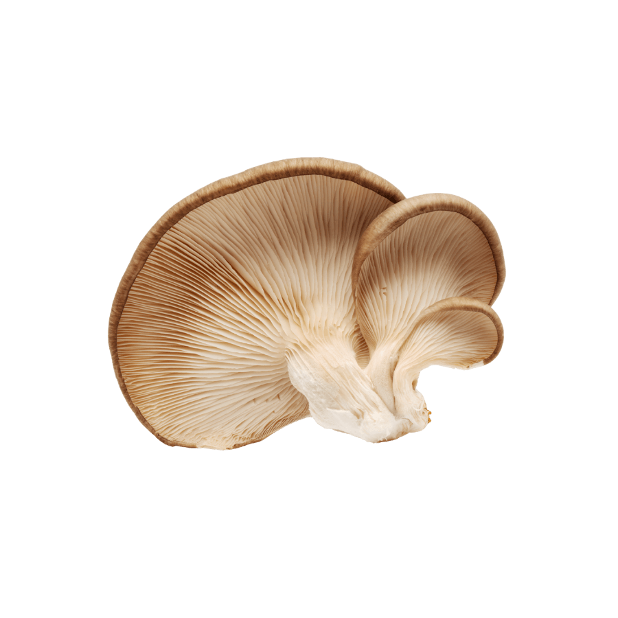 Click to get more info