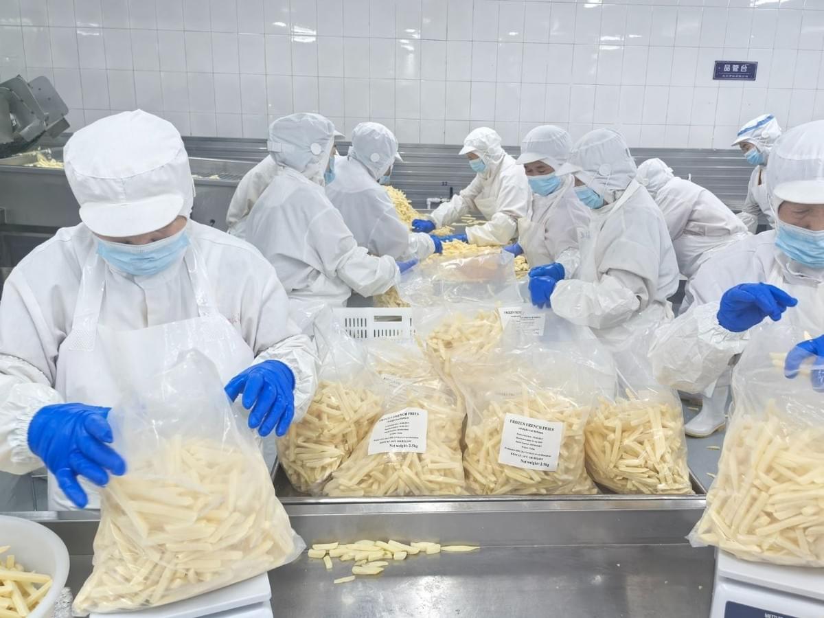 Frozen Straight Cut Fries