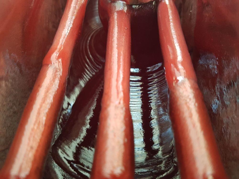 Frozen Strawberry Puree