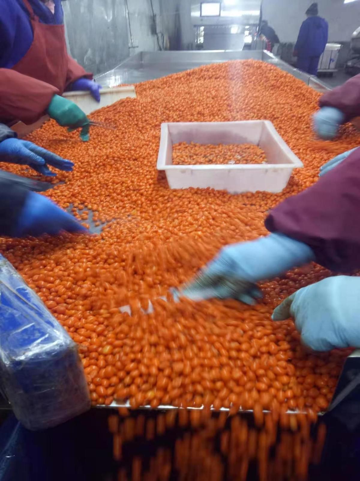IQF sea buckthorn berries bulk supplier