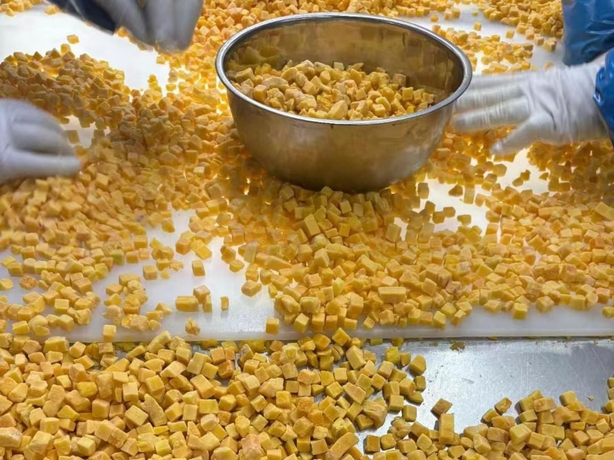 IQF Mango Dices