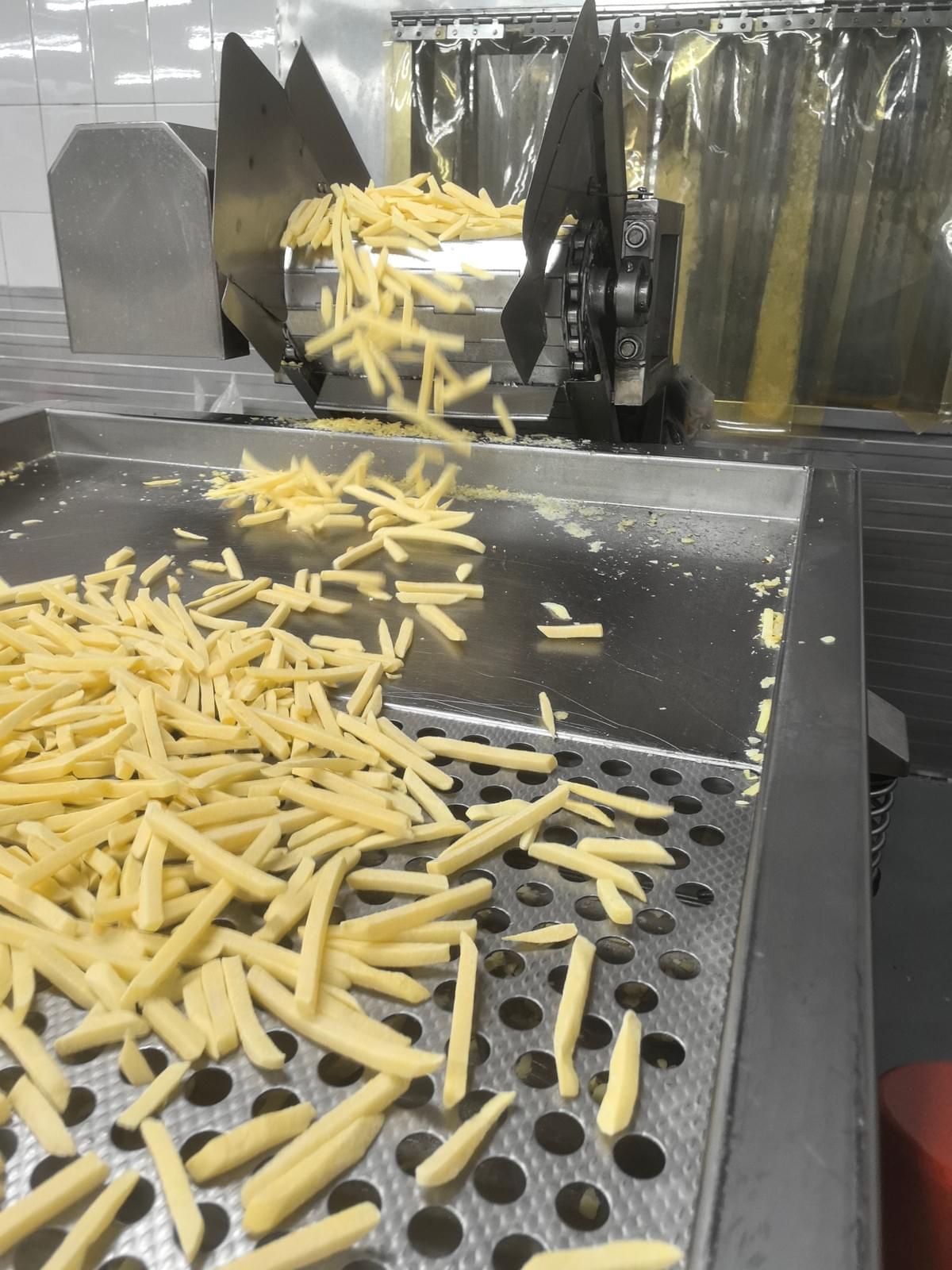 Frozen Straight Cut Fries