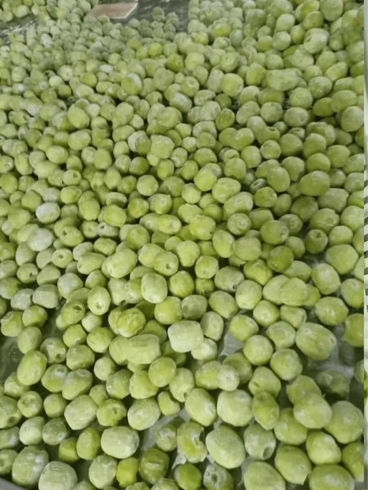 IQF Frozen Kiwi Whole Peeled