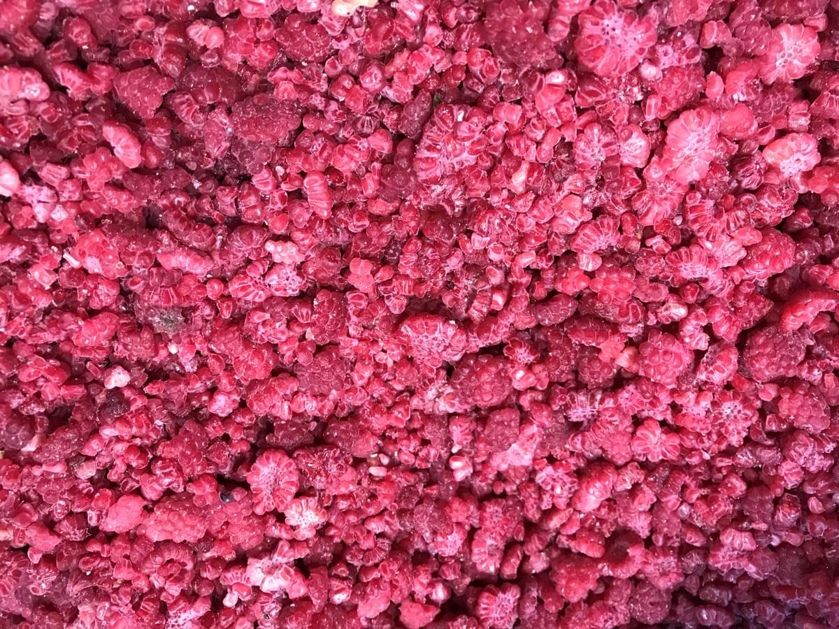 Frozen Raspberry Brokens Bulk Supply