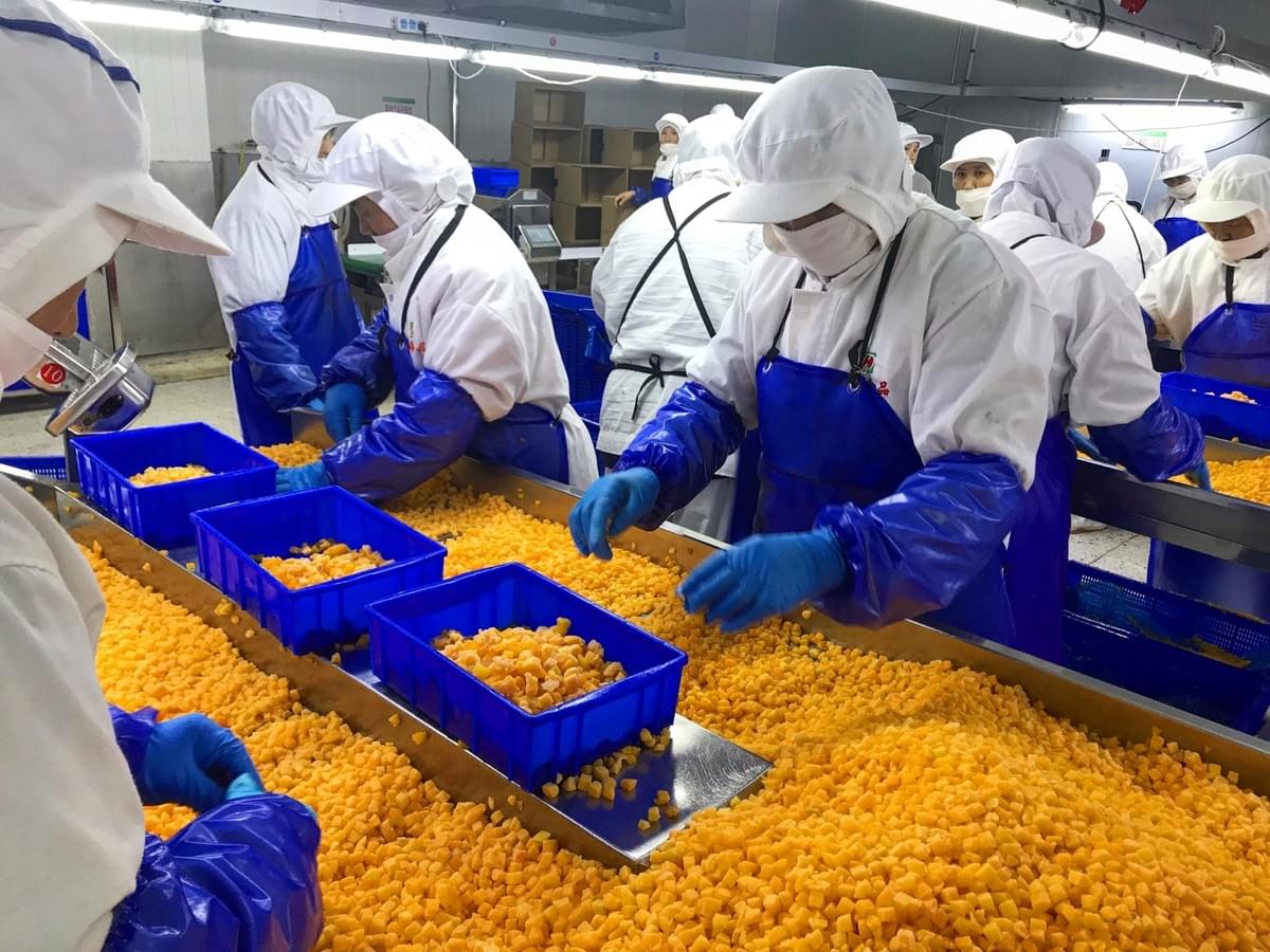 IQF Diced Yellow Peaches