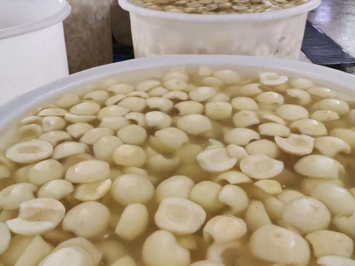 IQF Snow Pear Halves