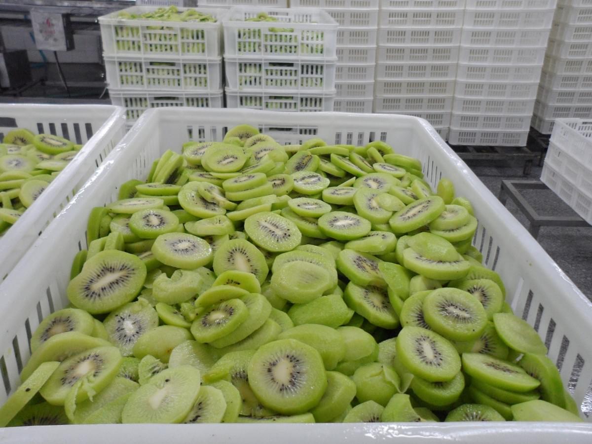 IQF Frozen Sliced Kiwi