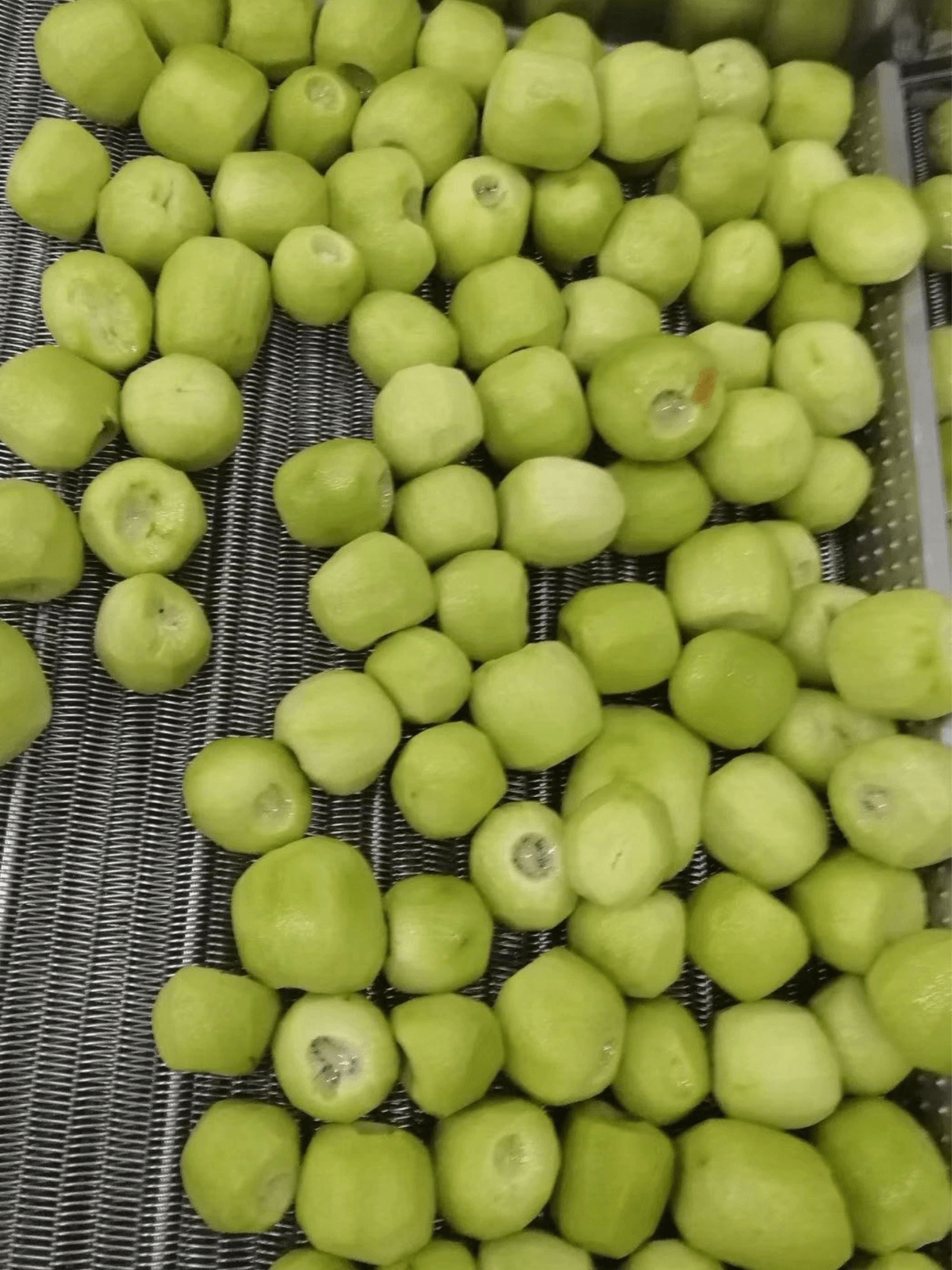 IQF Frozen Kiwi Whole Peeled