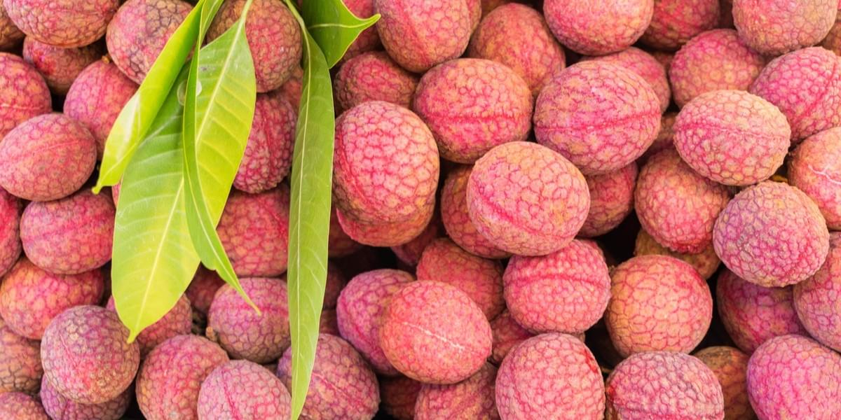 IQF Lychee Supplier Frozen Fruit