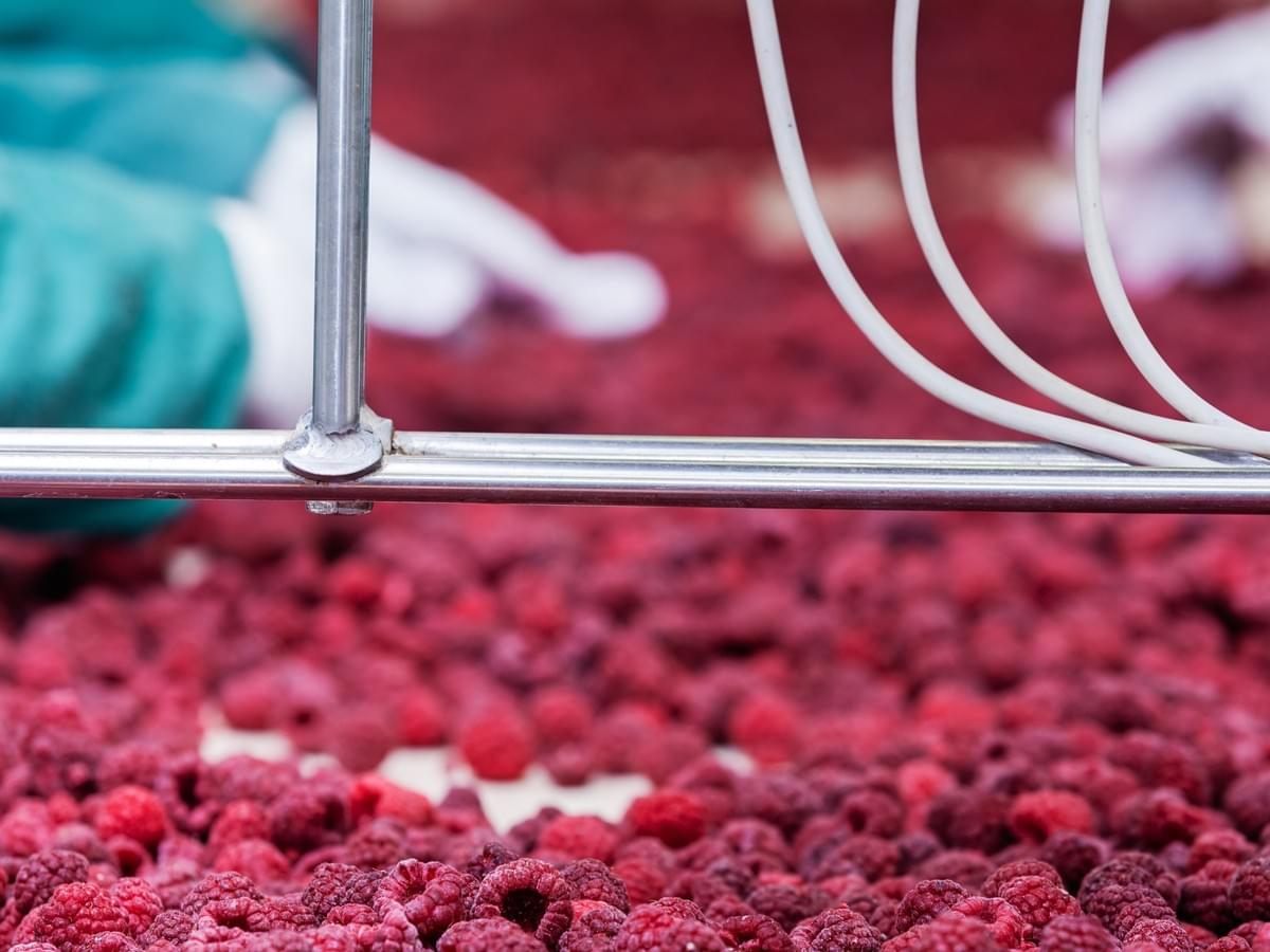 IQF Frozen Raspberries Crumbles