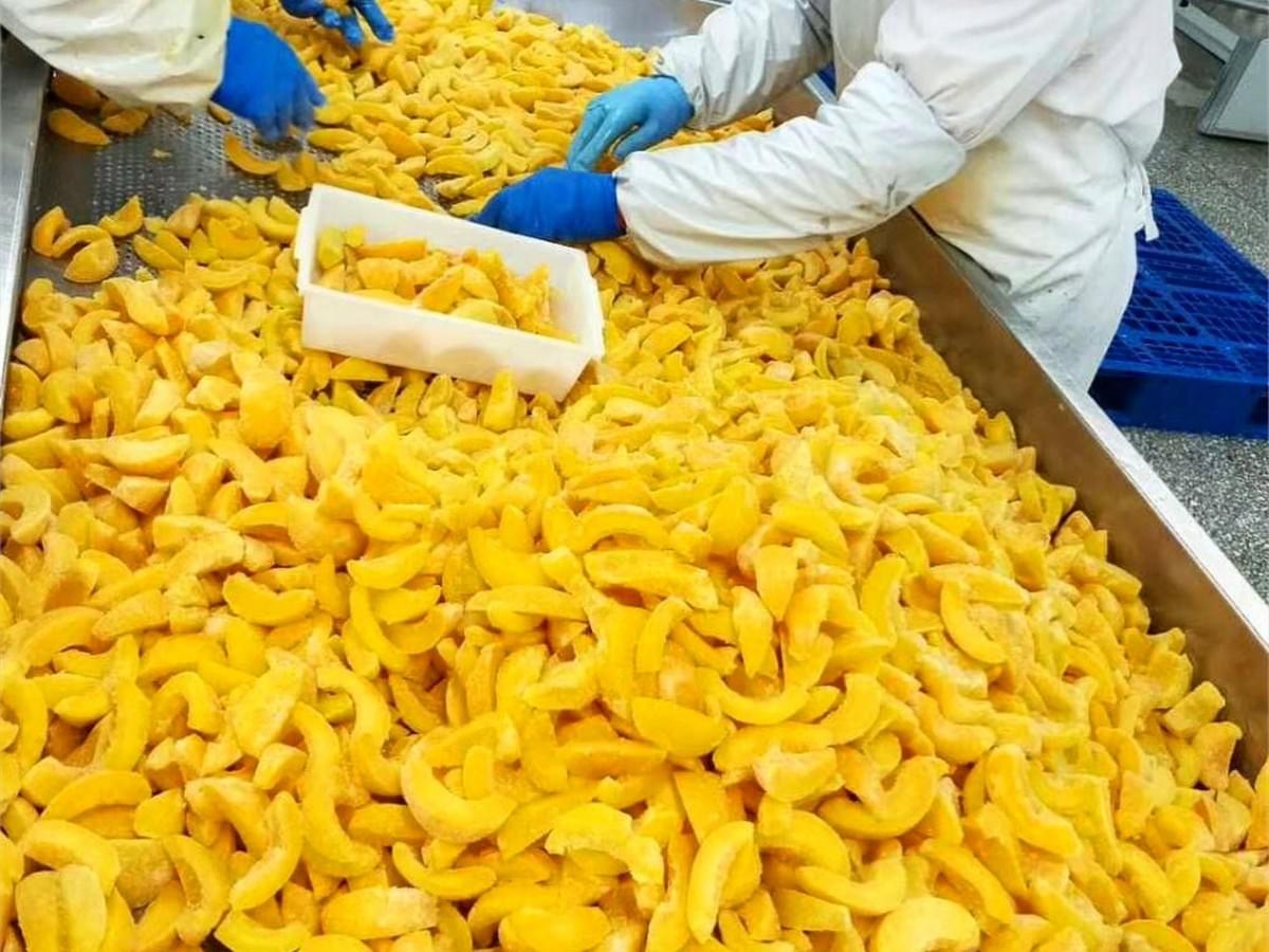 IQF Sliced Yellow Peaches