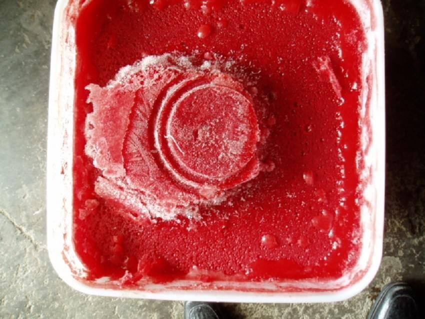 Frozen Strawberry Puree Factory China