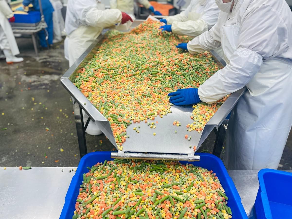 IQF Mixed Vegetables