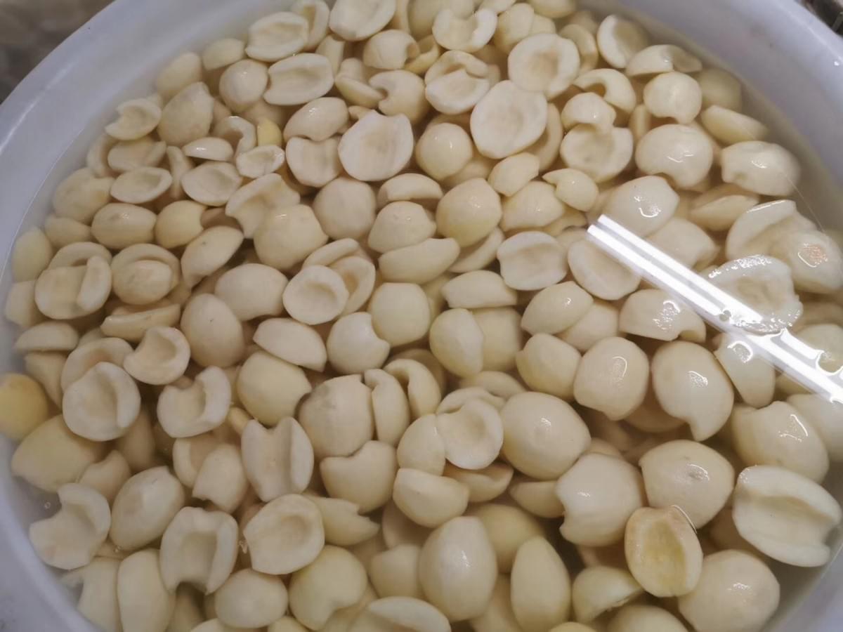 IQF Snow Pear Halves