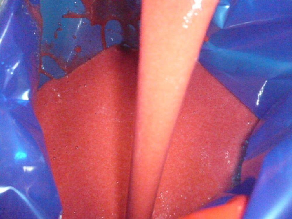 Frozen Strawberry Puree