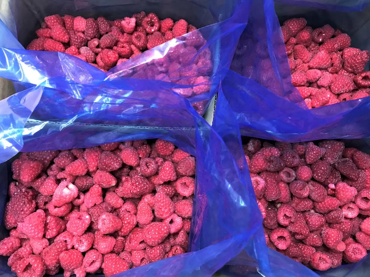 Frozen Raspberries Manufactures