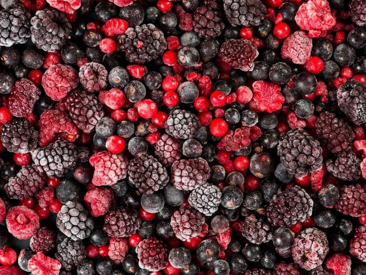 IQF and BQF frozen berries supplied by SINOFROST in China