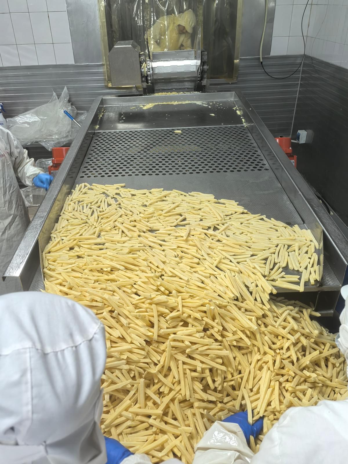Seasoned Frozen Regular Cut French Fries Manufacture