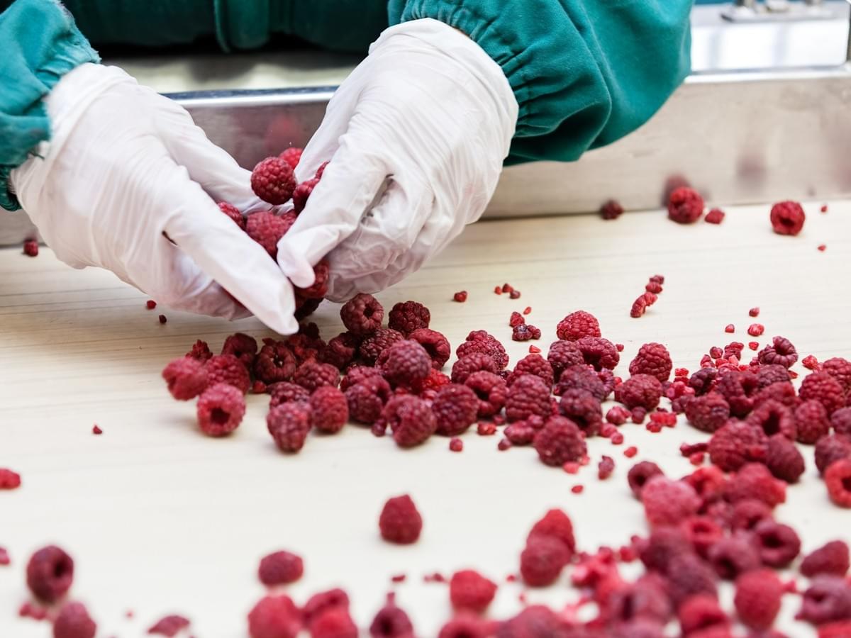 IQF Frozen Raspberries Crumbles