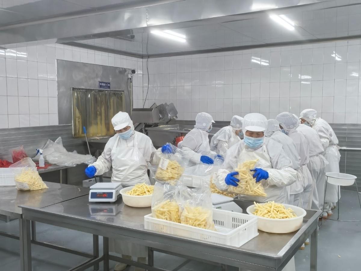 Frozen Julienne Cut French Fries Supplier