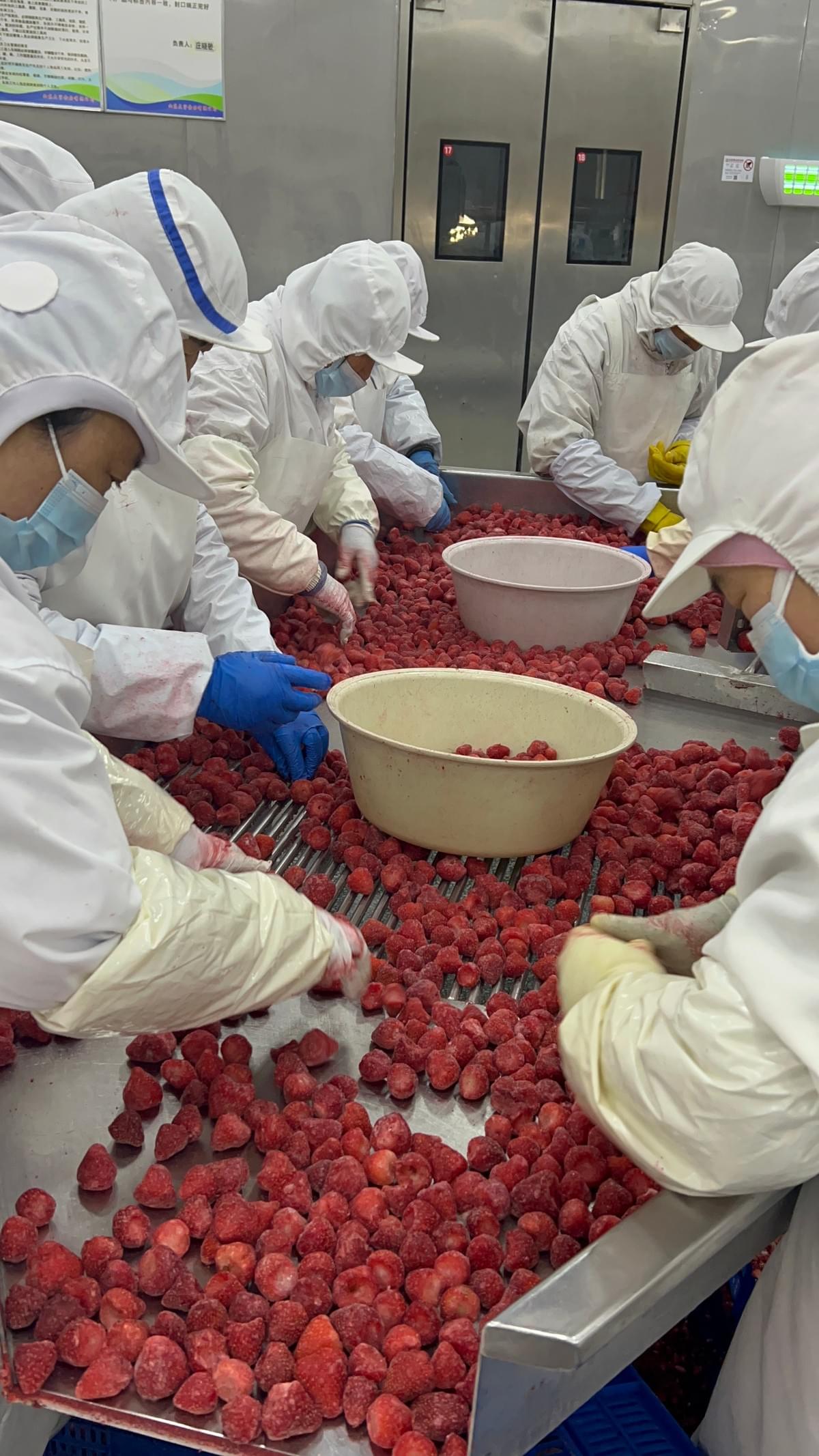 IQF Strawberries Hongyan