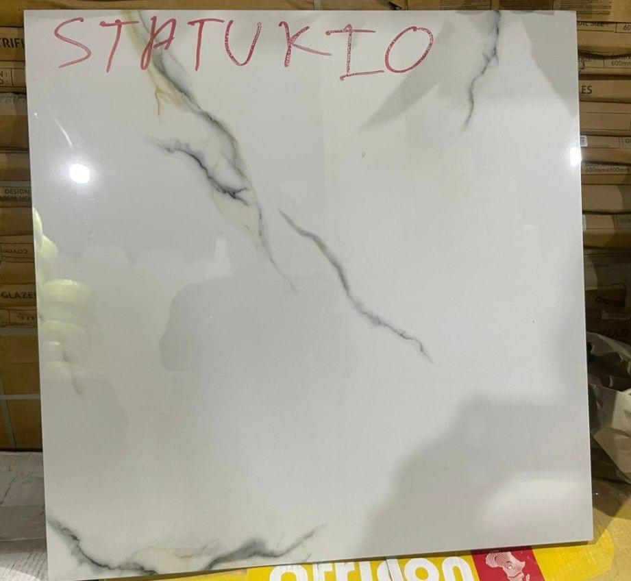 60x60 Premium Quality Floor Tiles