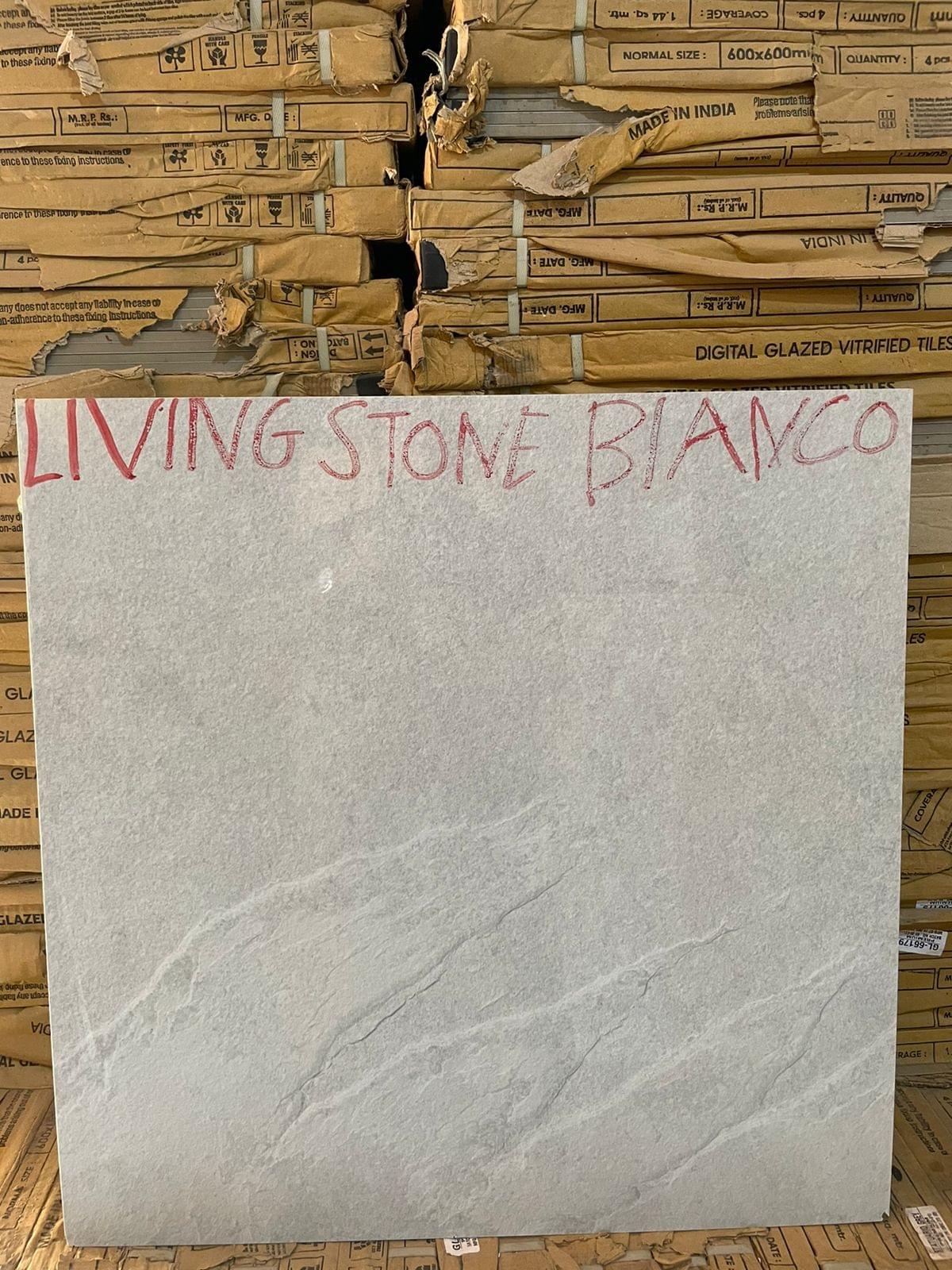 60x60 Premium Quality floor tile