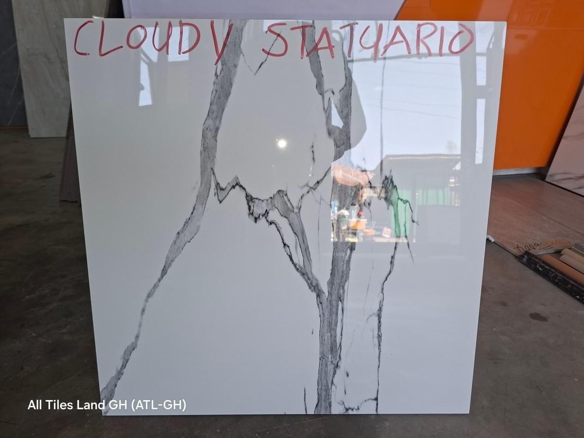 60x60 Premium Porcelain Tiles – Digital Glazed & Vitrified