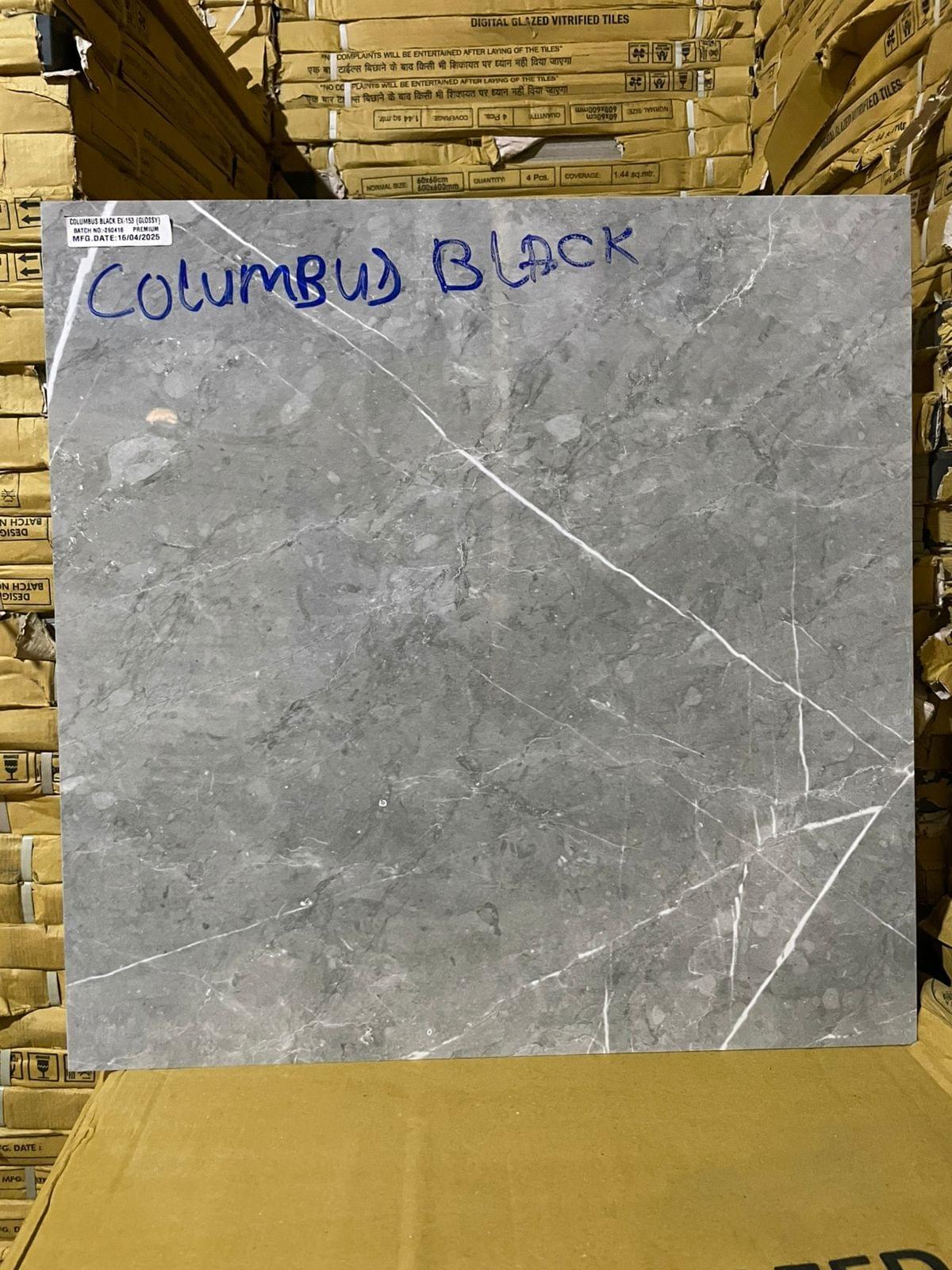 60X120 Premium Quality Floor Tile