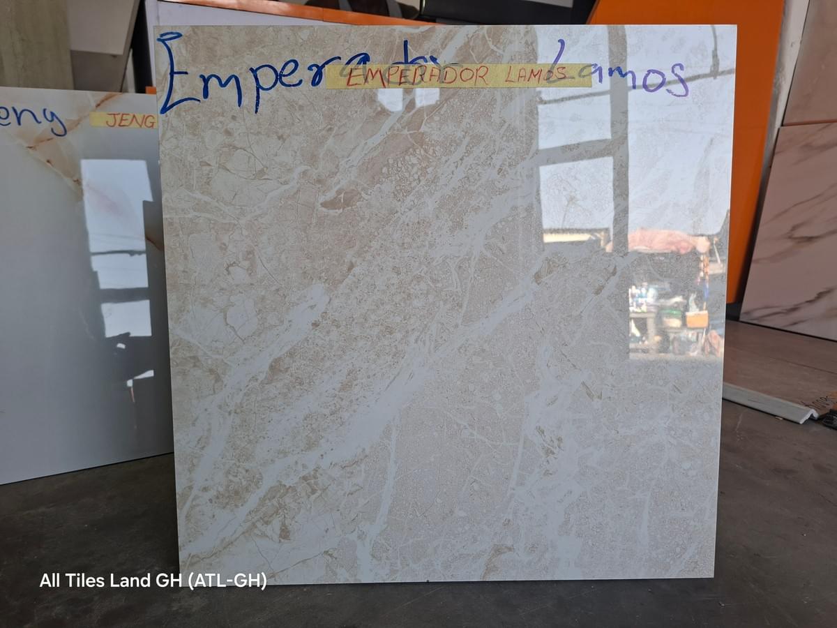 60x60cm Indian Premium Porcelain Tiles – Digital Glazed & Vitrified