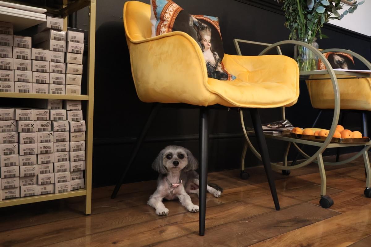 Majesty Salon - Best in Nottingham