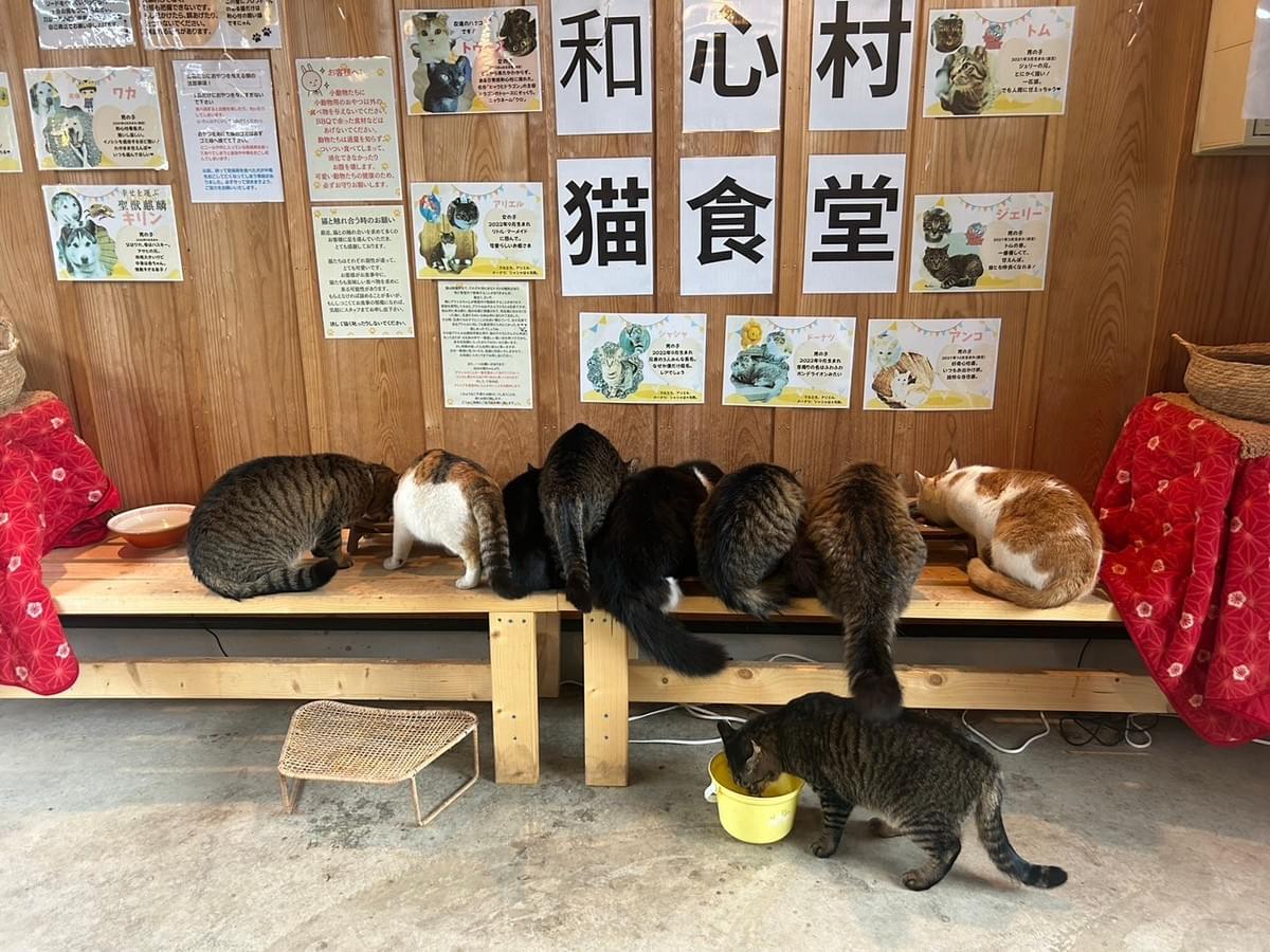 当時のメディア報道・掲載写真