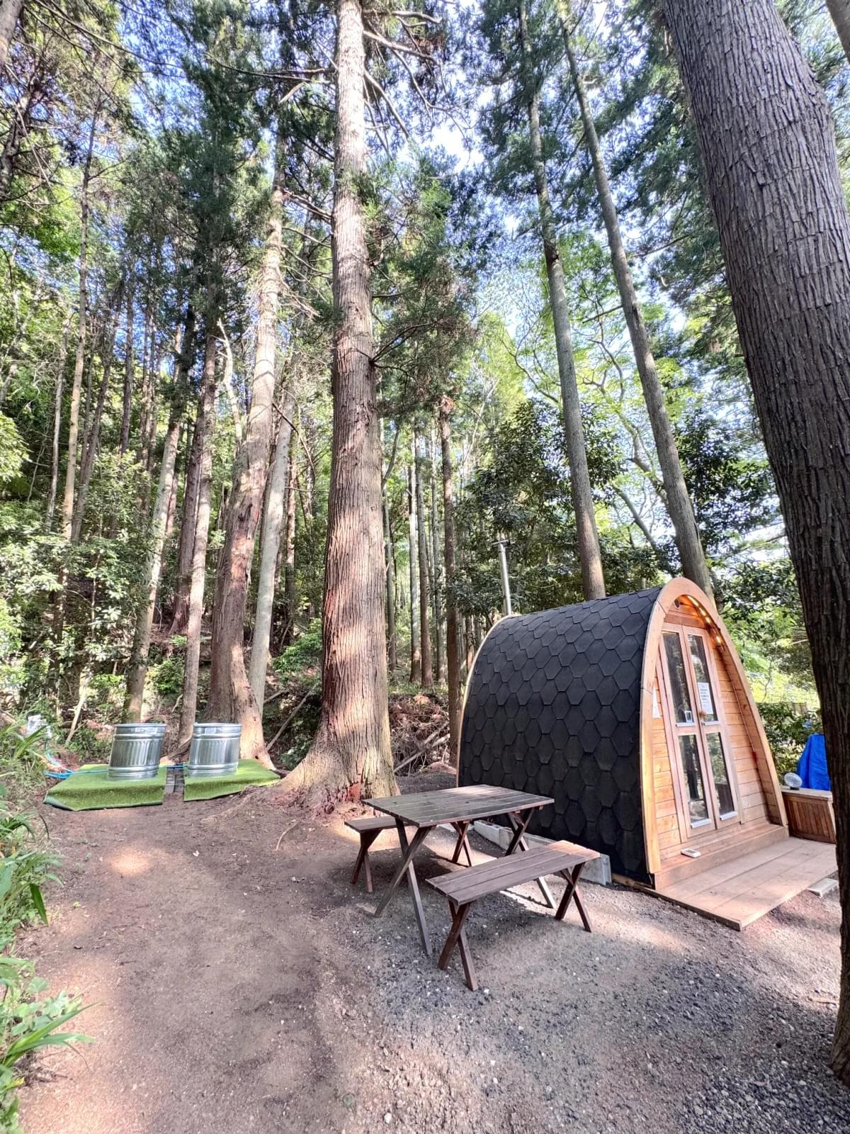 緑に囲まれた森の水風呂