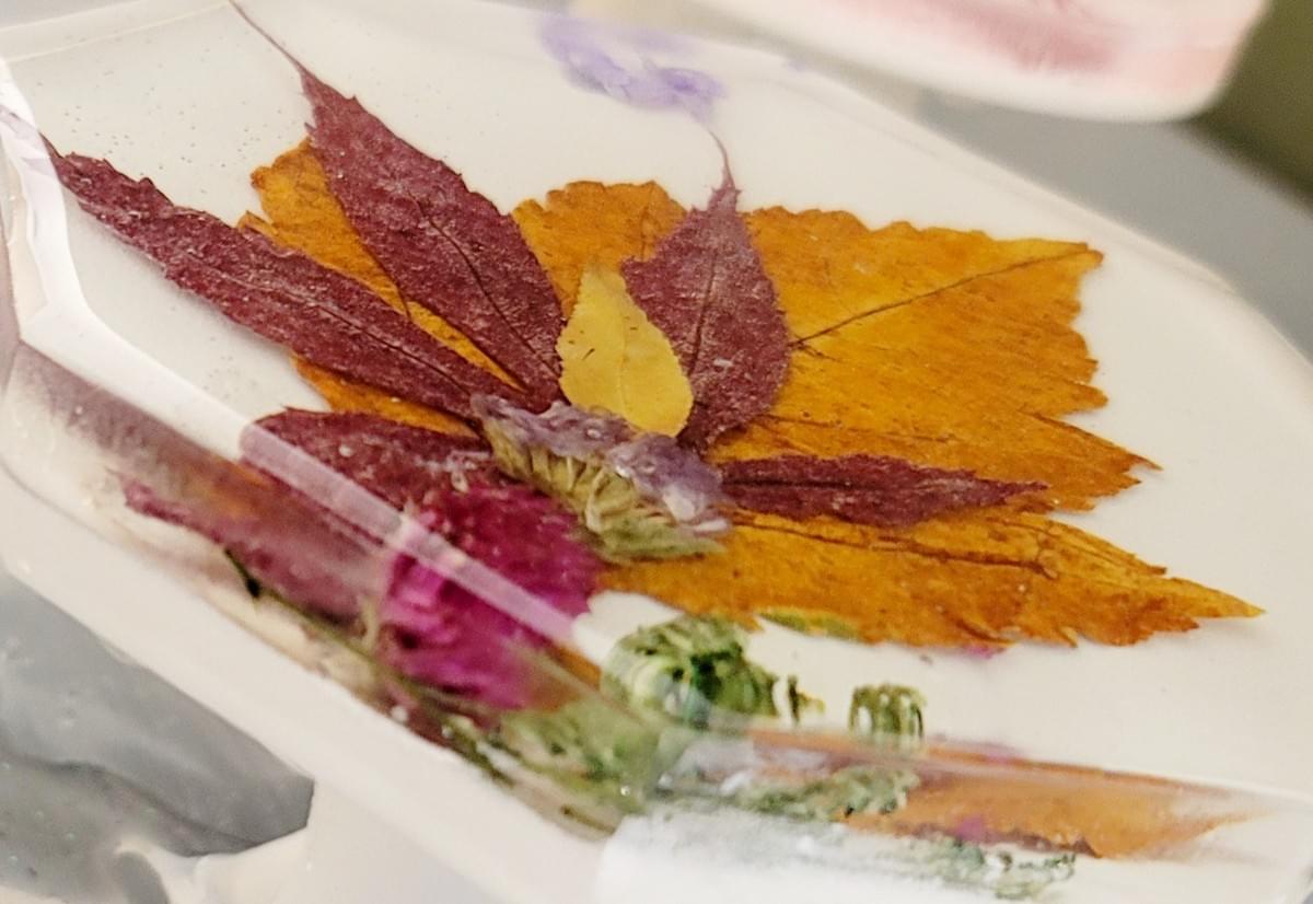 Beauty of AUTUMN LEAF COASTERS