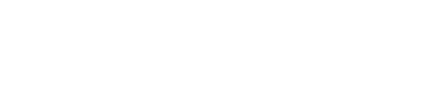 Partner Logo 6