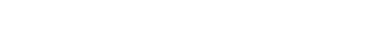 Partner Logo 10