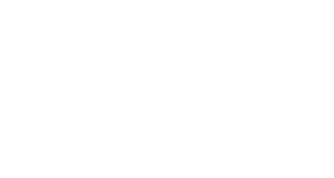 Partner Logo 4