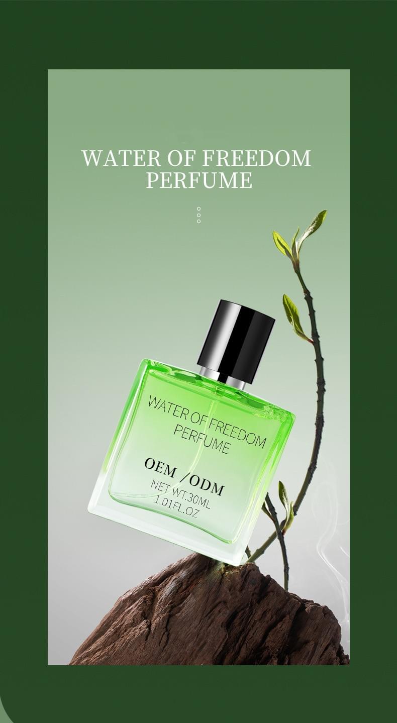 Popular Men's Perfume Custom Floral Fresh Cologne Marine Fragrance OEM/ODM Private Label