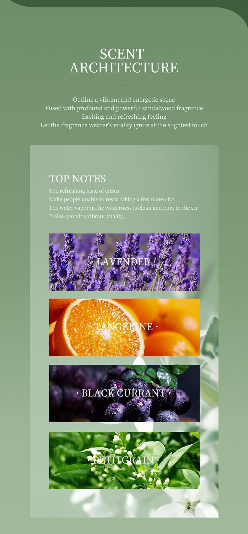 Popular Men's Perfume Custom Floral Fresh Cologne Marine Fragrance OEM/ODM Private Label